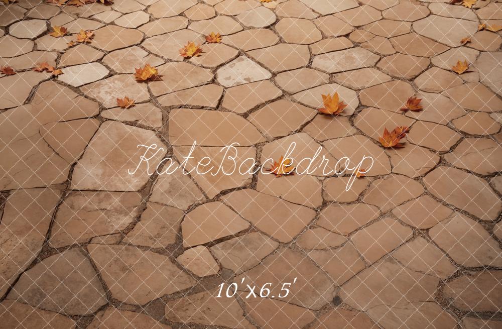 Kate Autumn Leaves Stone Path Fleece Backdrop Designed by Emetselch