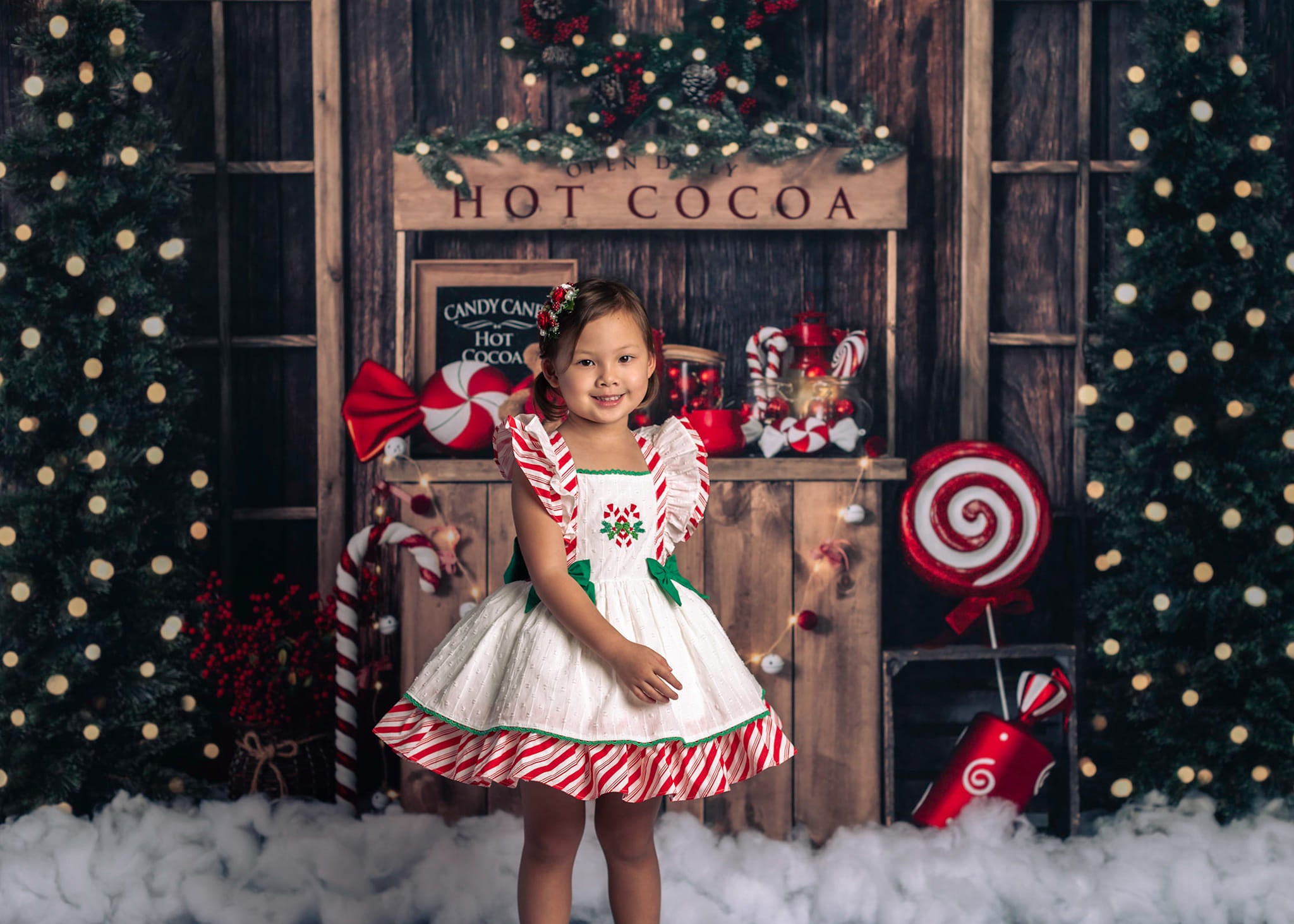 Kate Christmas Hot Cocoa Wooden Winter Backdrop Designed by Emetselch