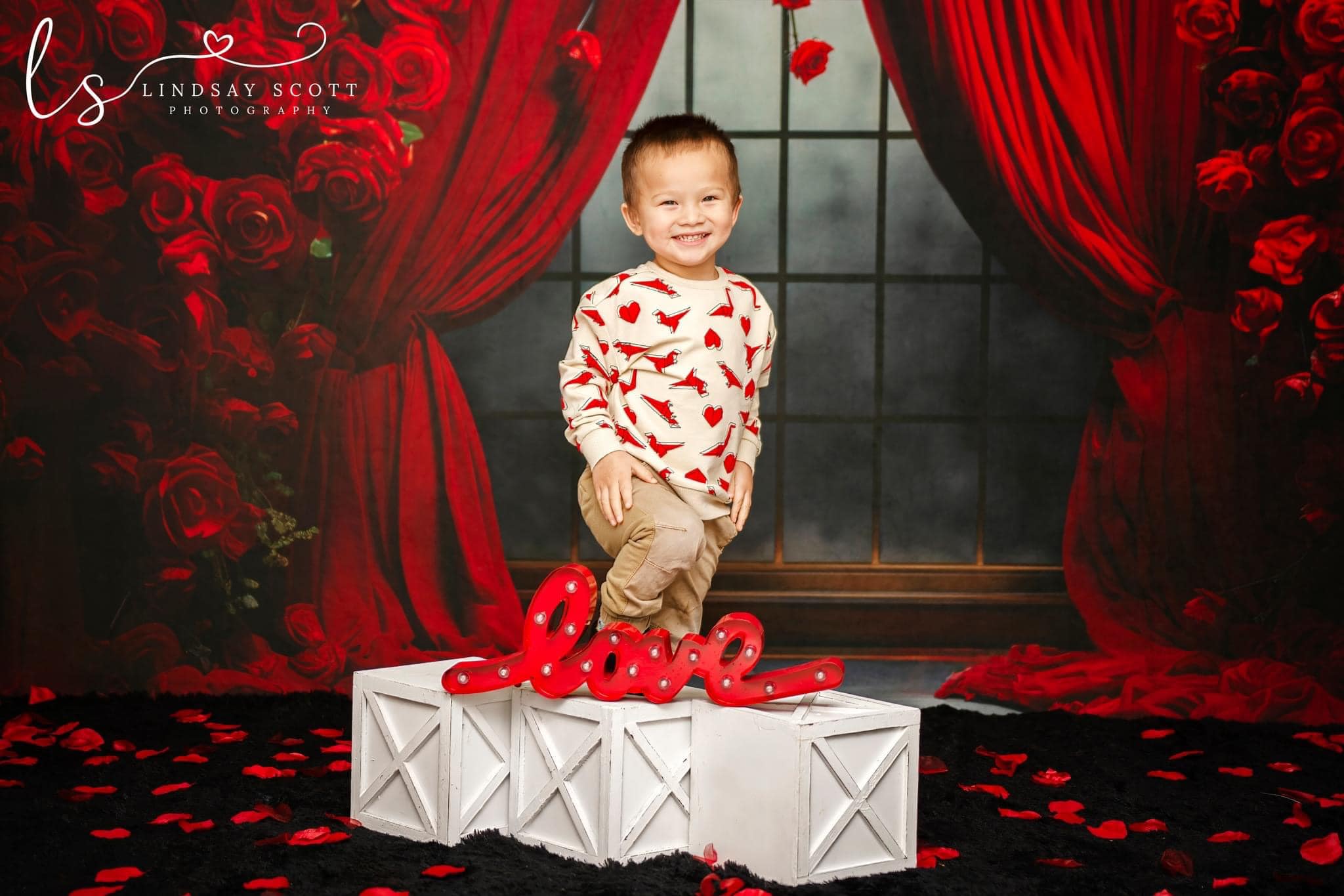 Kate Valentine's Day Rose Curtains Fleece Backdrop Designed by Mini MakeBelieve