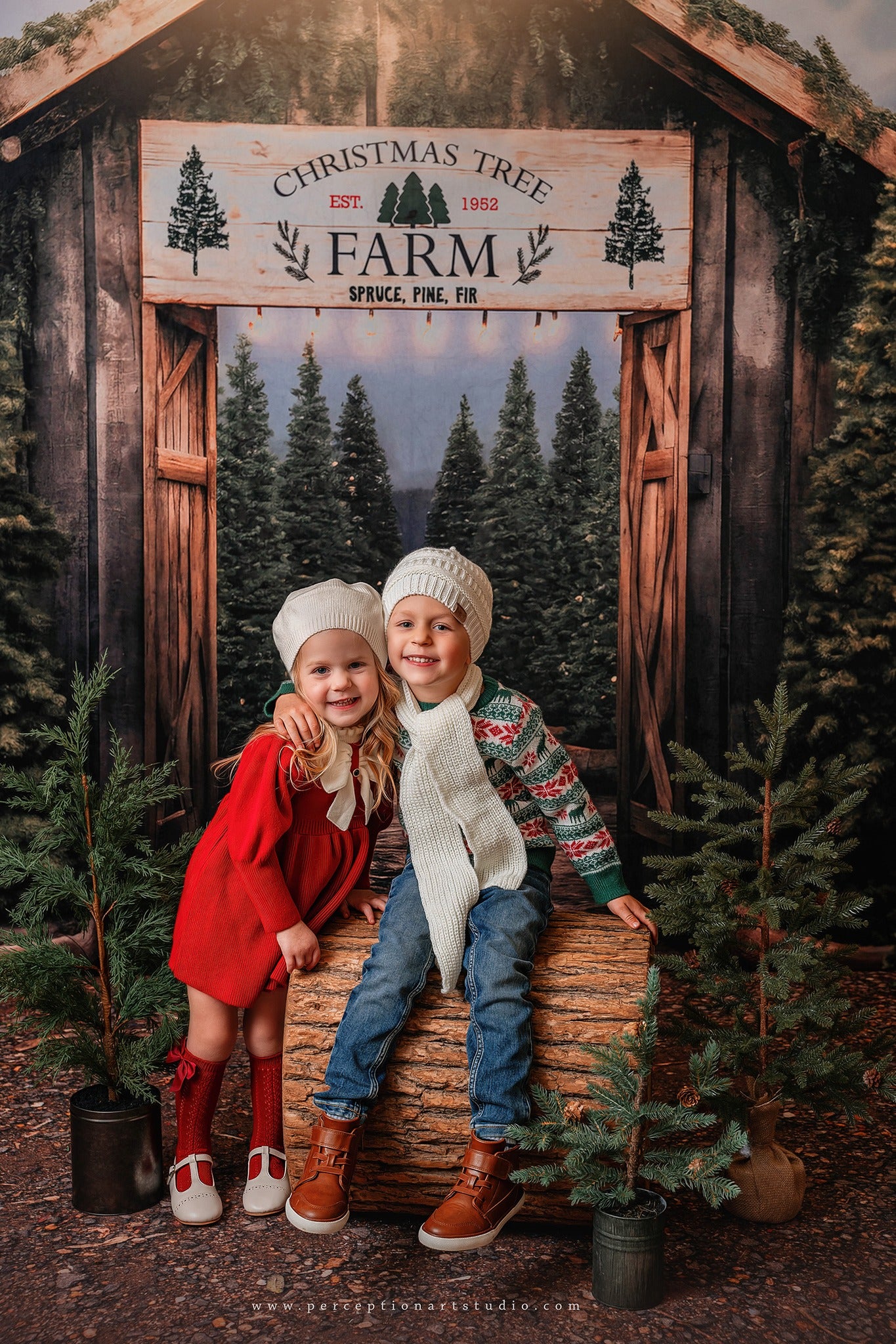 Lightning Deals Kate Christmas Tree Farm Entrance Backdrop for Photography -UK