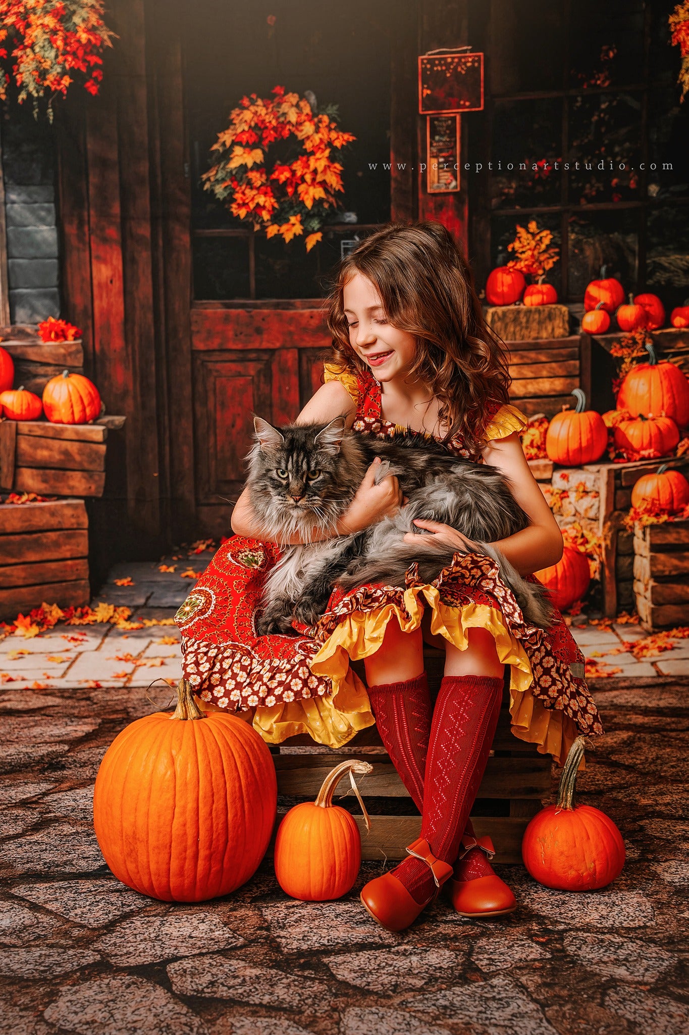 Kate Autumn Pumpkin Shop Maple Leaves Backdrop Designed by Emetselch -UK