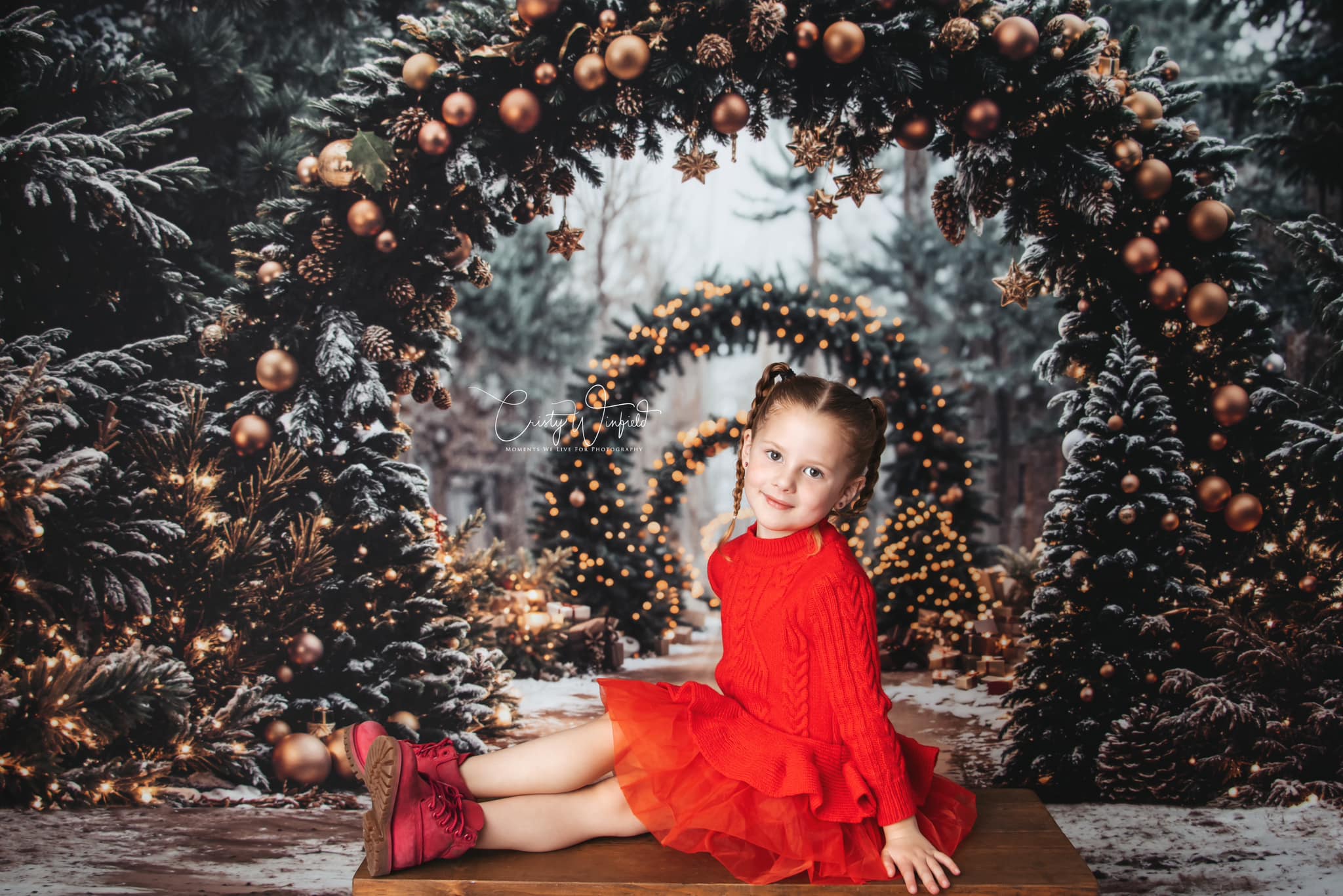 On Sale Kate Christmas Tree Archway Forest Backdrop Designed by Emetselch -UK