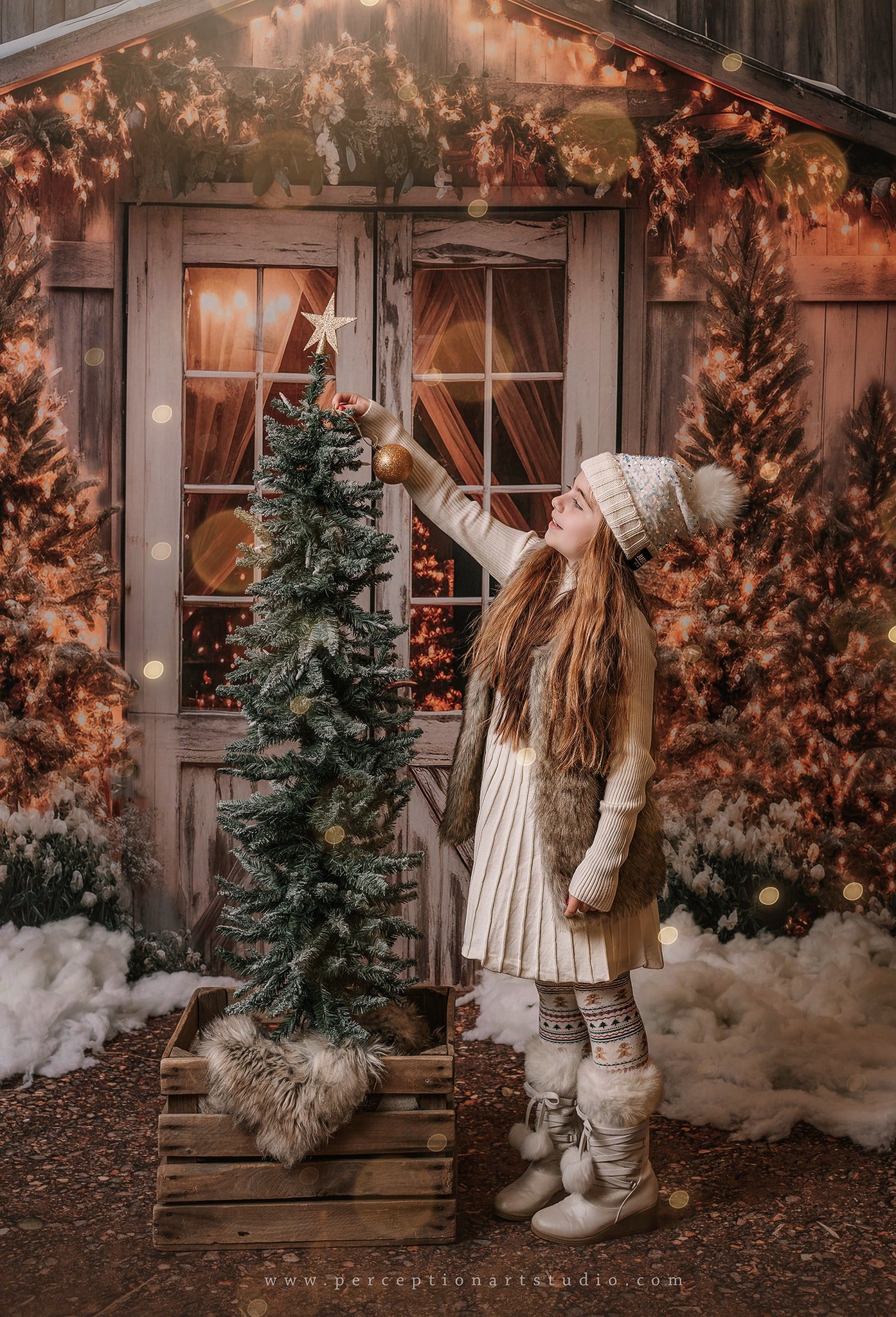 Kate Christmas Barn Backdrop Designed by Emetselch -UK