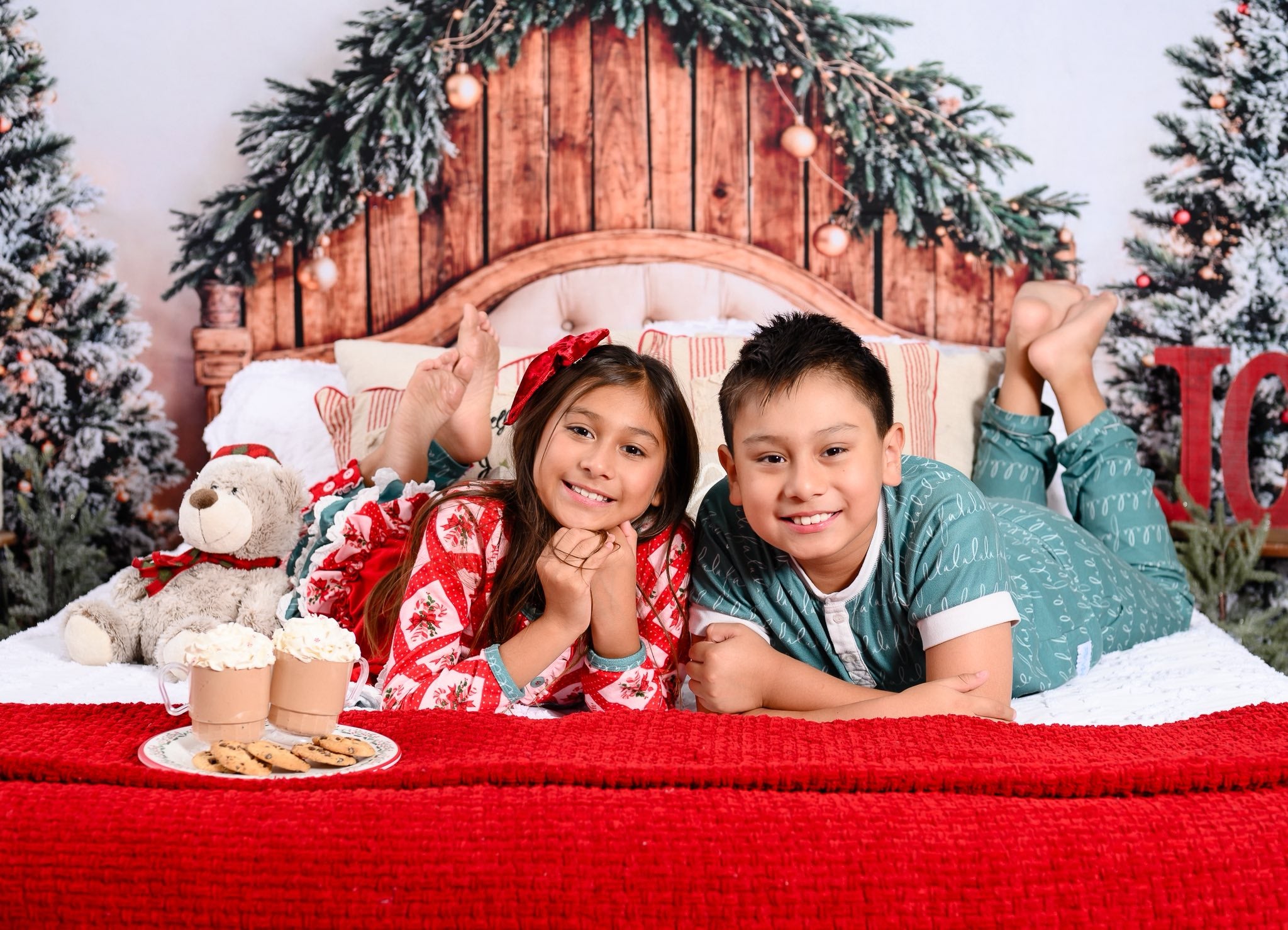 Kate Christmas Headboard Backdrop Designed by Emetselch -UK