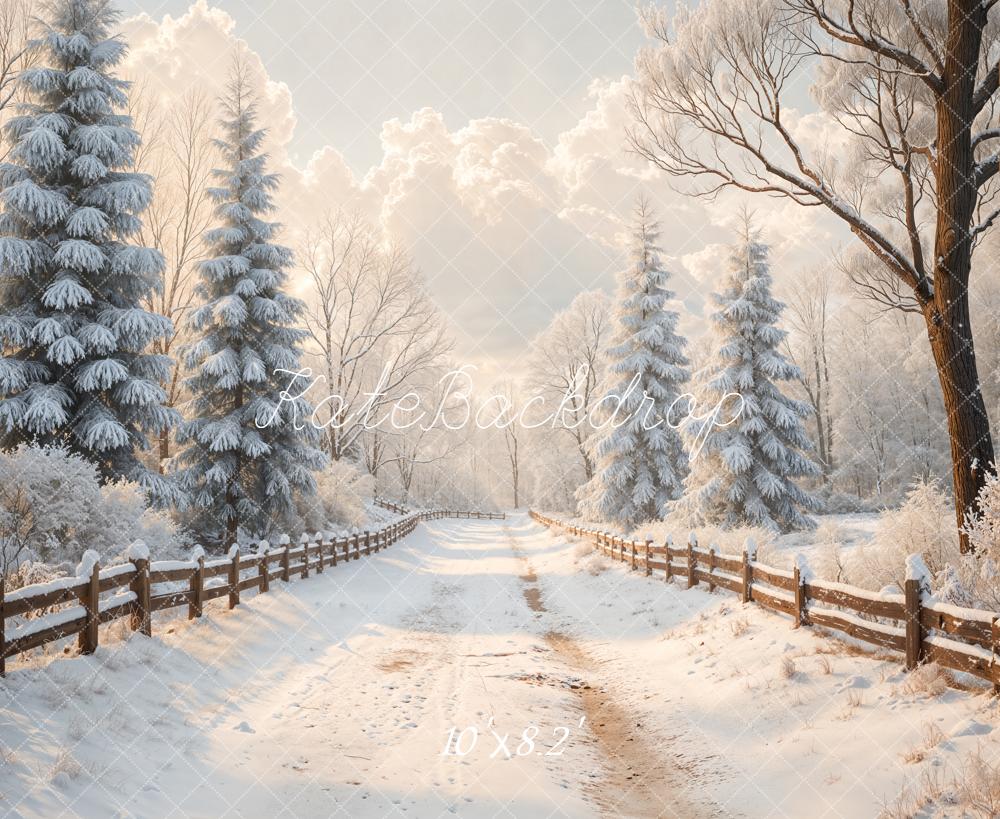 Kate Winter Snowy Path Fence Backdrop Designed by Emetselch -UK
