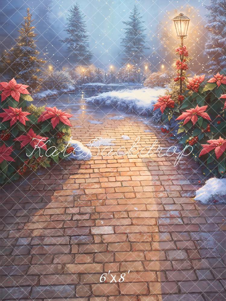 Kate Christmas Poinsettia Snowy Path Fleece Backdrop Designed by Emetselch -UK