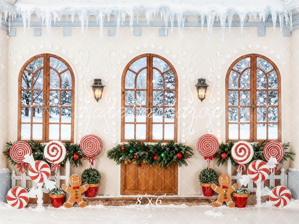 Kate Christmas Gingerbread Windows Lollipops Fleece Backdrop Designed by Emetselch