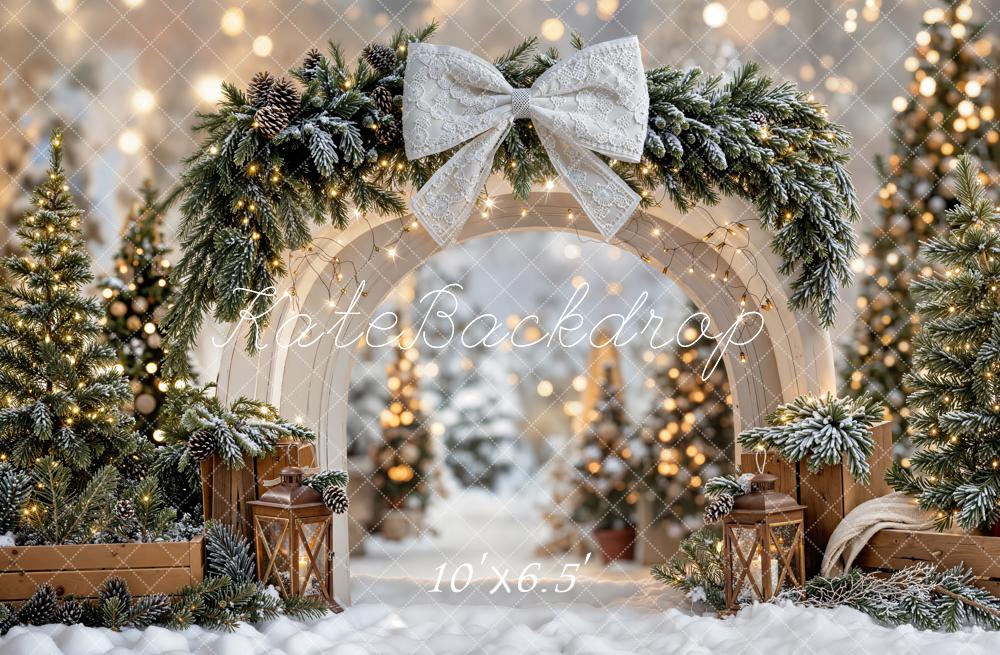 Kate Christmas Winter Arch Snowy Fleece Backdrop Designed by Emetselch -UK
