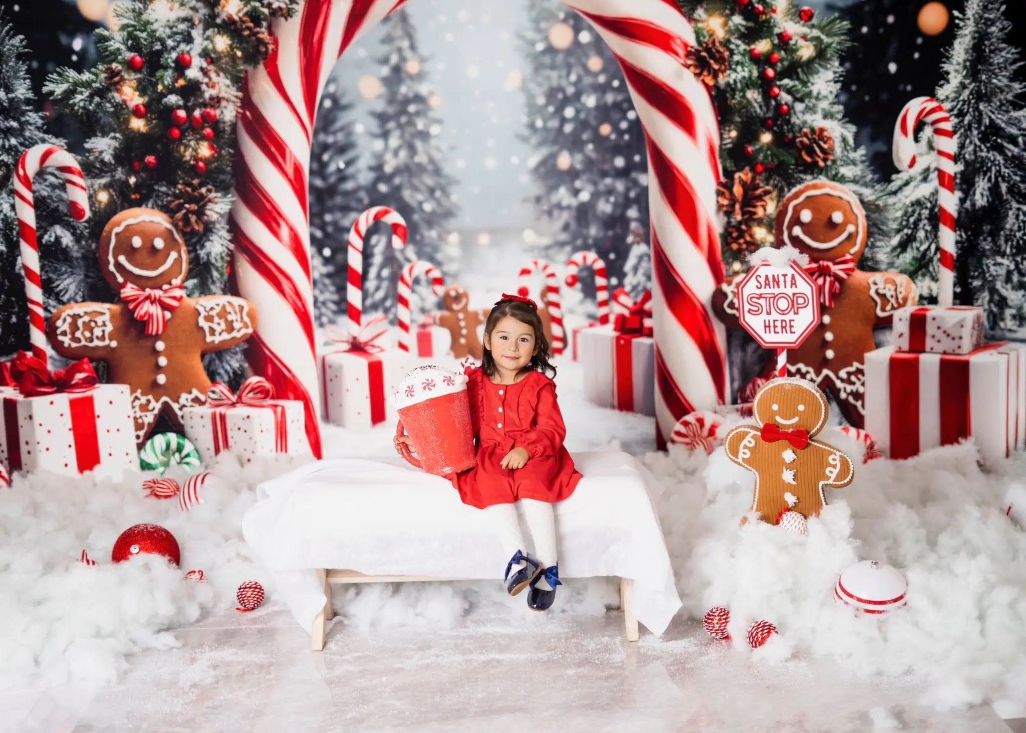 Kate Christmas Candy Cane Gingerbread Gift Backdrop Designed by Emetselch -UK