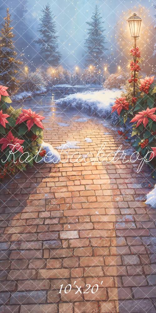 Kate Christmas Snowy Stone Path Poinsettia Lamp Backdrop Designed by Emetselch