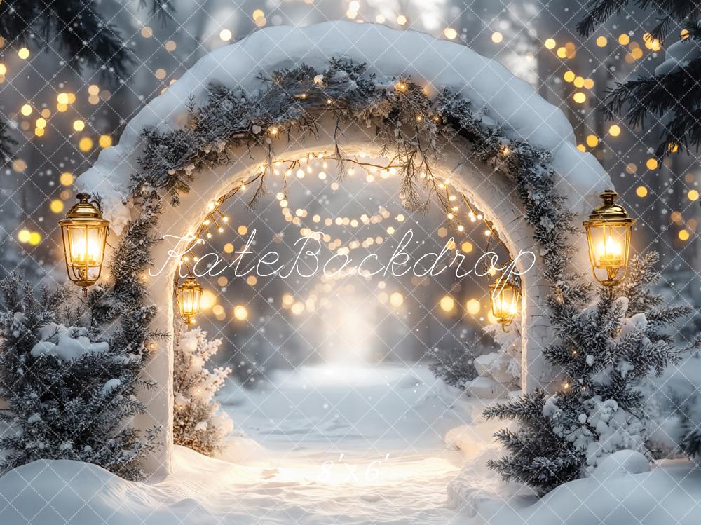 Kate Winter Arch Snow Lights Fleece Backdrop Designed by Emetselch -UK