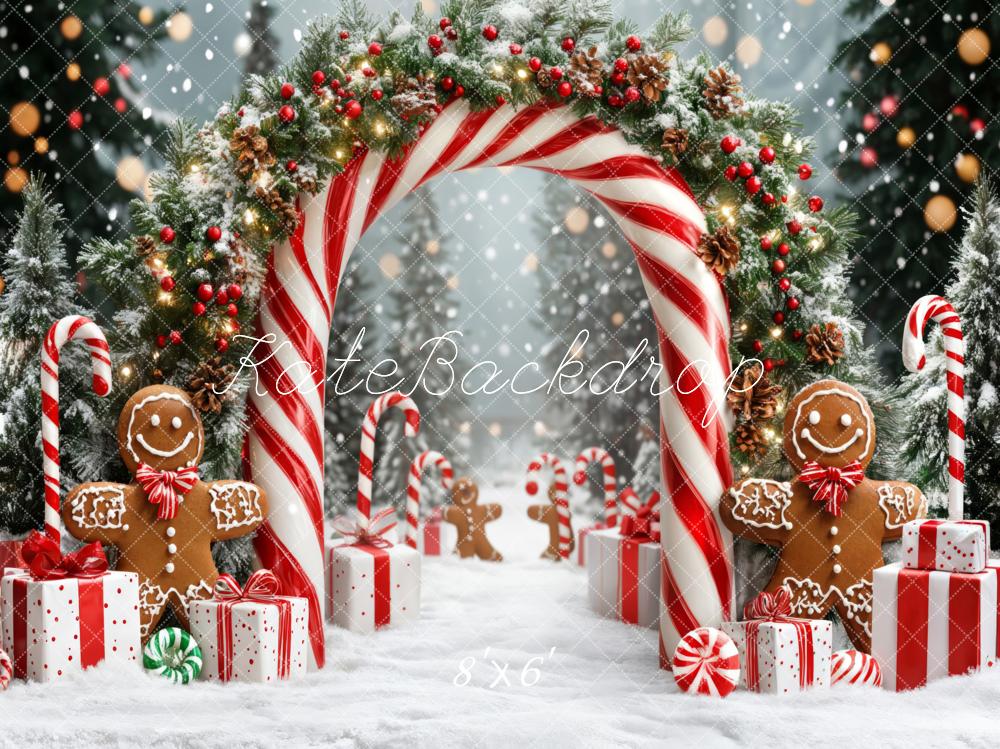 Kate Christmas Candy Cane Gingerbread Fleece Backdrop Designed by Emetselch -UK