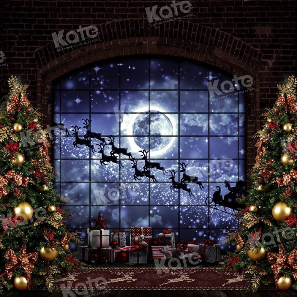 Kate Christmas Windows Sleigh Backdrop Elk for Photography