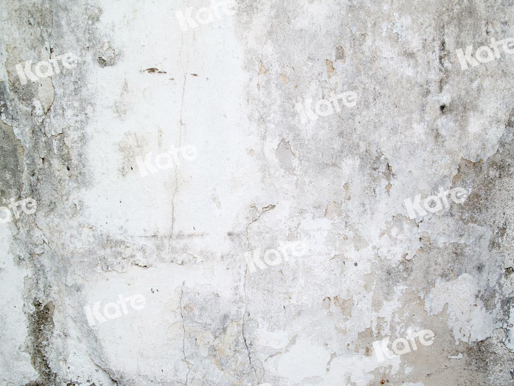 Kate Shabby Brick Grey Concrete Wall Backdrop Designed by Kate Image