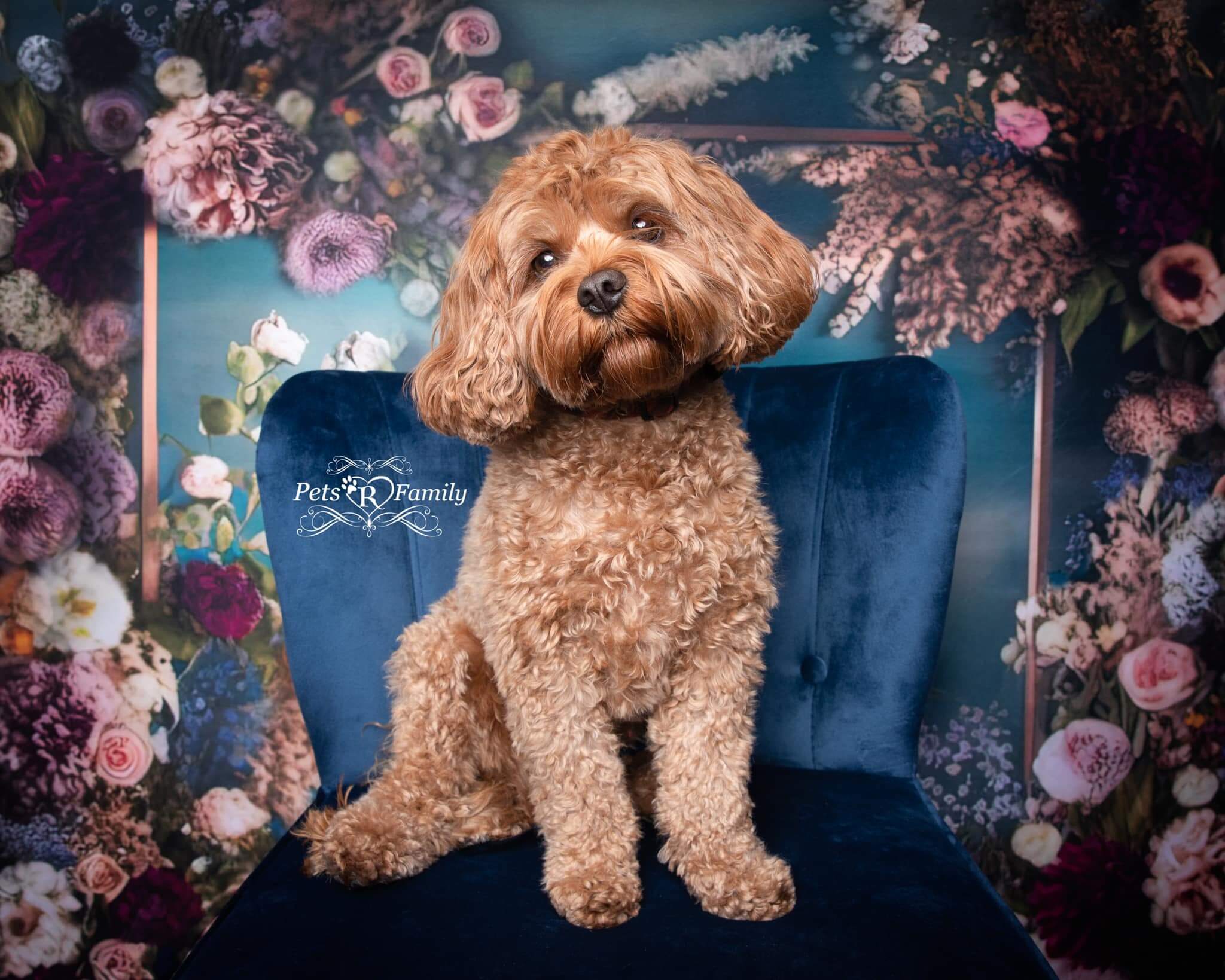 Kate Painterly Fine Art Frame Spring Flowers Fleece Backdrop Designed by Mini MakeBelieve -UK