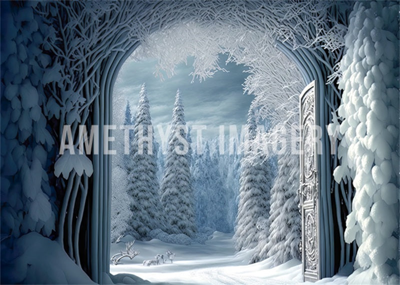 Kate Winter Doorway Backdrop Designed by Angela Marie Photography