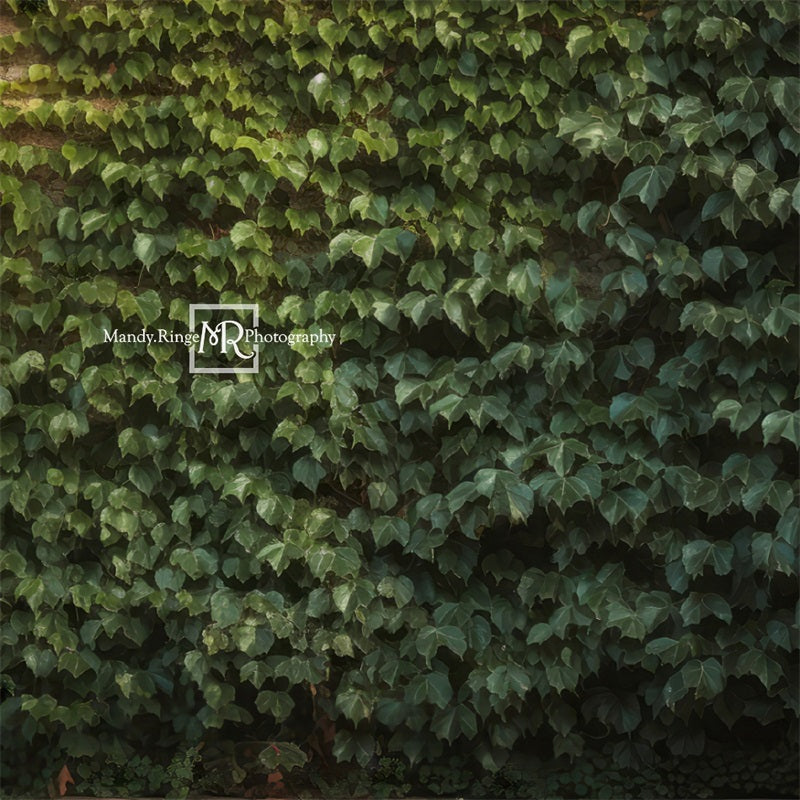 Kate Climbing Ivy Wall Plant Summer Backdrop Designed by Mandy Ringe Photography