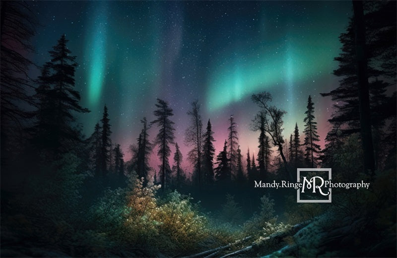 Kate Forest Colorful Northern Lights Backdrop Designed by Mandy Ringe Photography