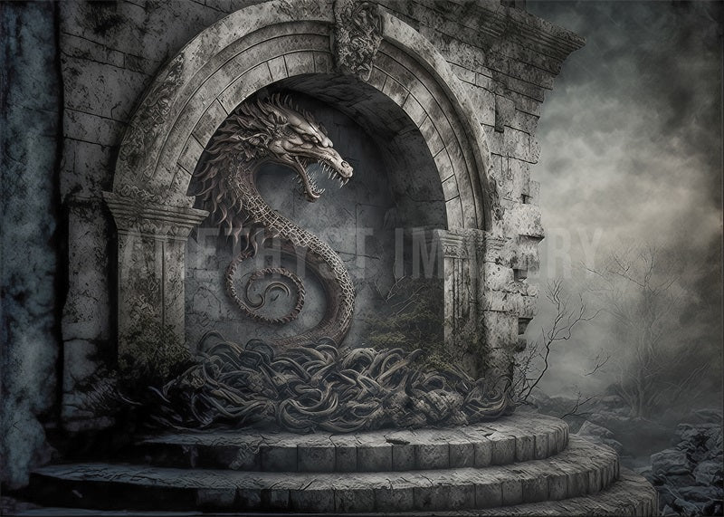 Kate Gray Dragon Stone Fantasy Wall Backdrop Designed by Angela Marie Photography -UK