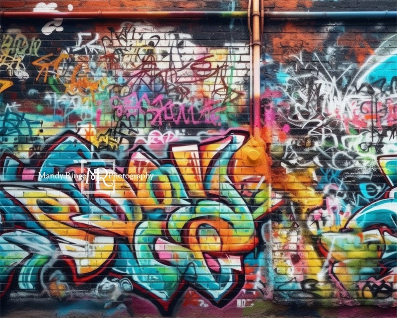 Kate Urban Graffiti Wall Backdrop Designed by Mandy Ringe Photography