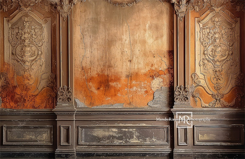 Kate Distressed Victorian Wall Backdrop Designed by Mandy Ringe Photography -UK