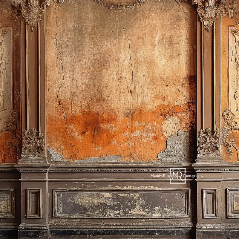 Kate Distressed Victorian Wall Backdrop Designed by Mandy Ringe Photography