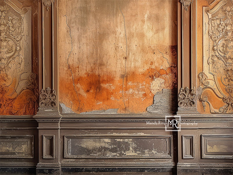 Kate Distressed Victorian Wall Backdrop Designed by Mandy Ringe Photography -UK