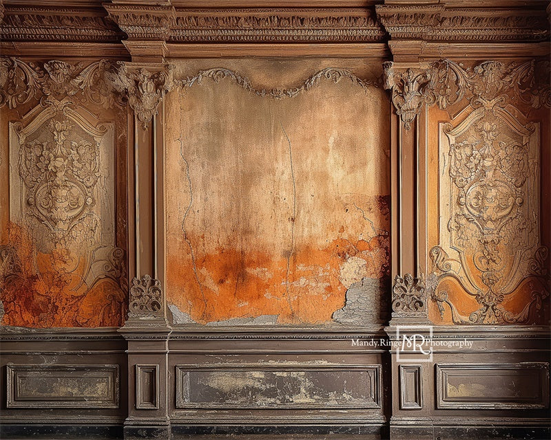 Kate Distressed Victorian Wall Backdrop Designed by Mandy Ringe Photography -UK