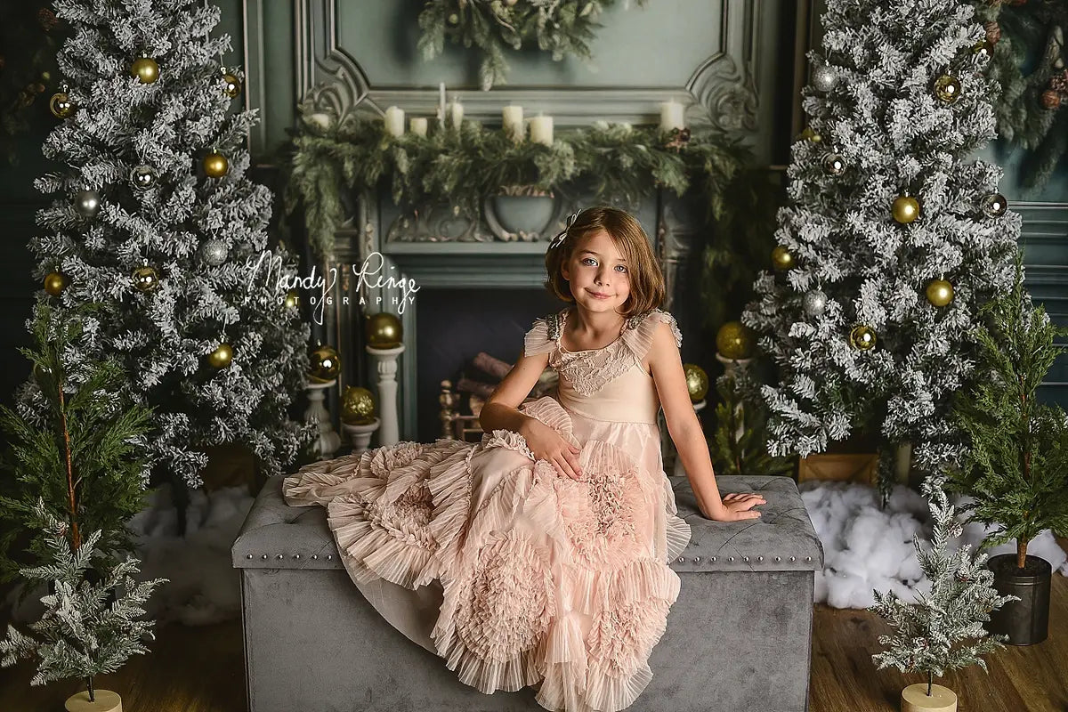 Kate Elegant Fireplace with Christmas Greenery Fleece Backdrop Designed by Mandy Ringe Photography