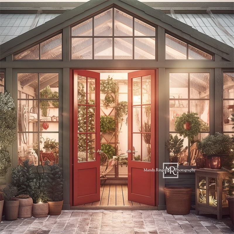 Kate Christmas Holiday Greenhouse Backdrop Designed by Mandy Ringe Photography