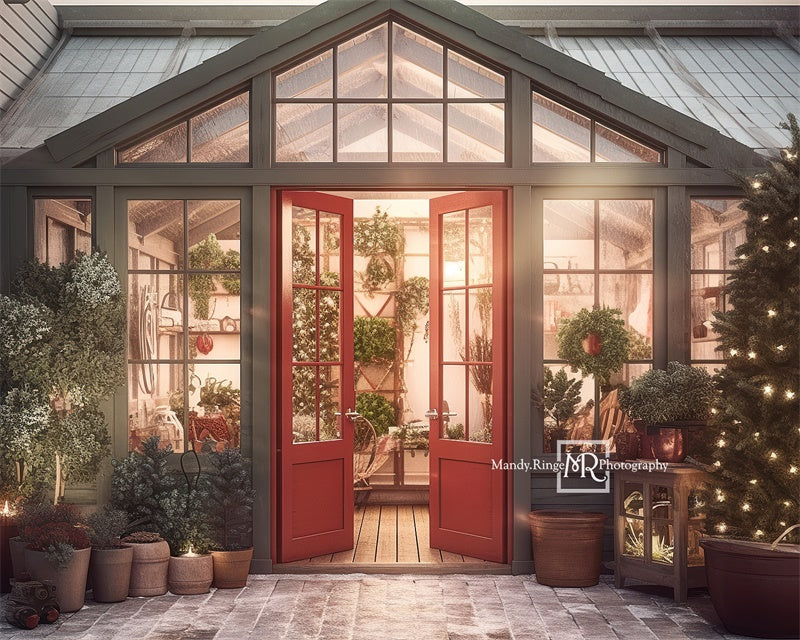 Kate Christmas Holiday Greenhouse Backdrop Designed by Mandy Ringe Photography