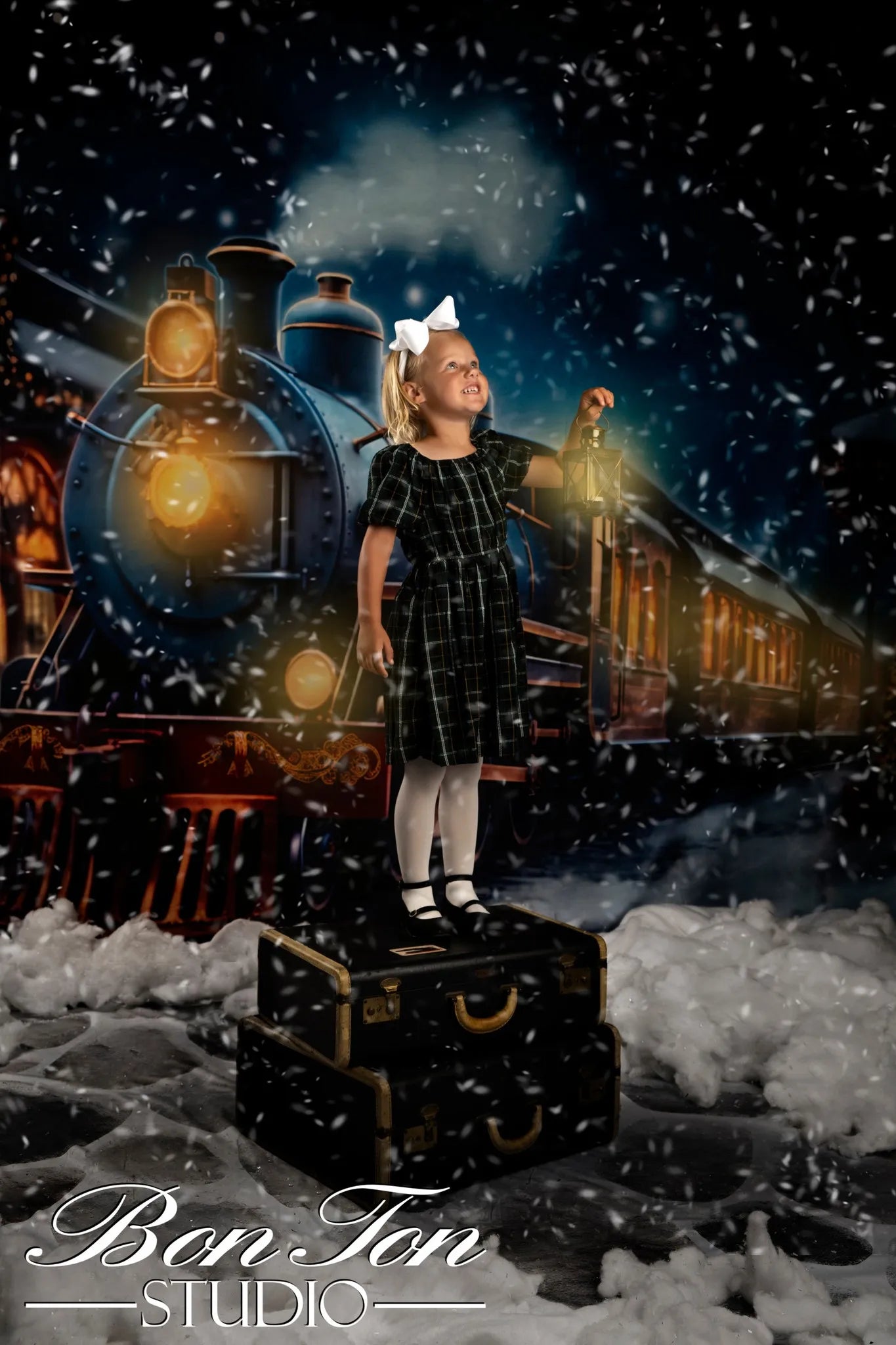 Kate Christmas Winter Train Backdrop for Photography