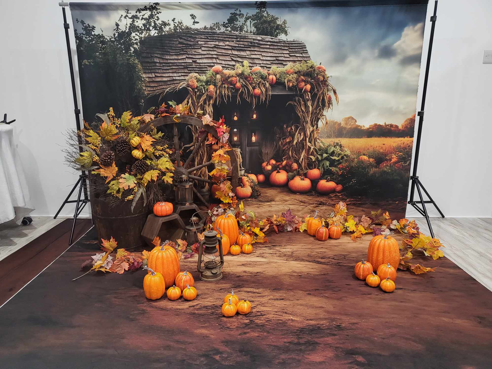 Kate Autumn Field Pumpkin Old House Backdrop+Soil Floor Backdrop