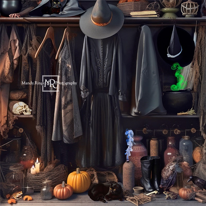 Kate Halloween Witch's Closet Backdrop Designed by Mandy Ringe Photography
