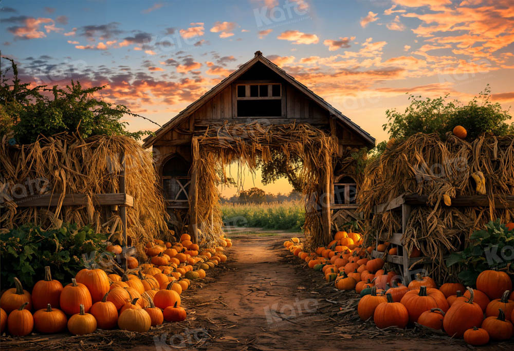 Kate Autumn Pumpkin Farm Backdrop for Photography