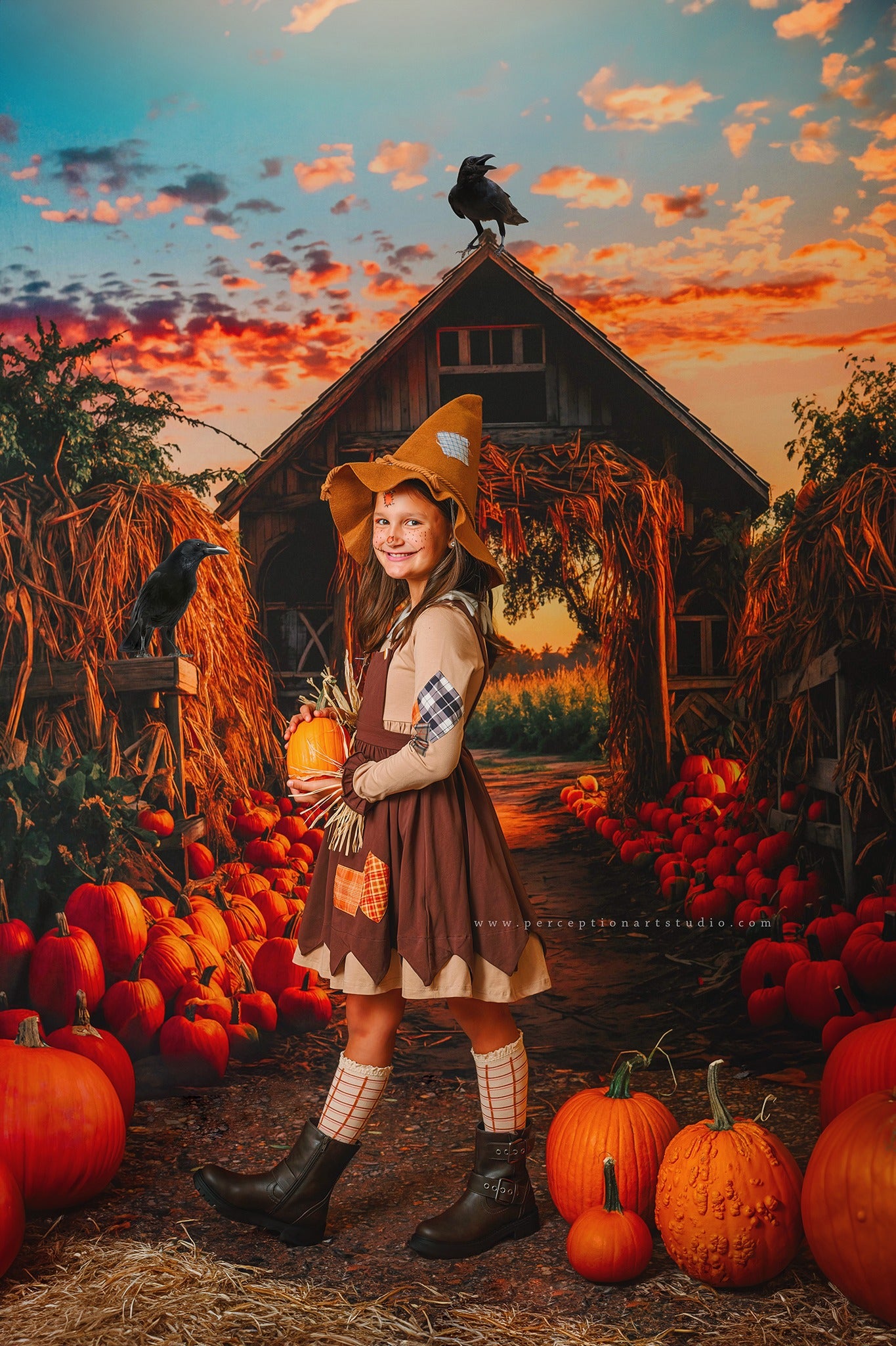 Kate Autumn Pumpkin Farm Backdrop for Photography -UK