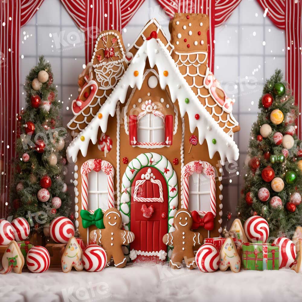 Kate Christmas Gingerbread House Candy Backdrop Designed by Chain Photography