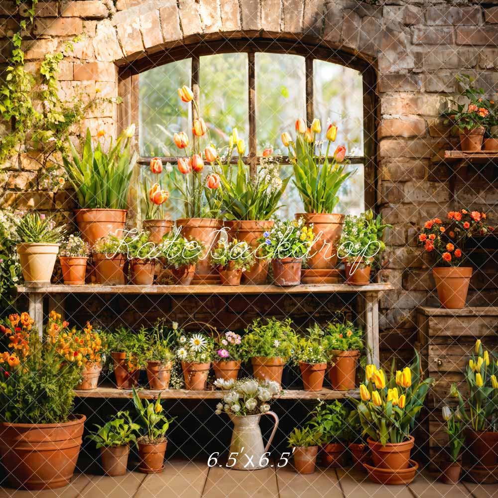 Kate Spring Flower Plant Window Room Backdrop Designed by Emetselch