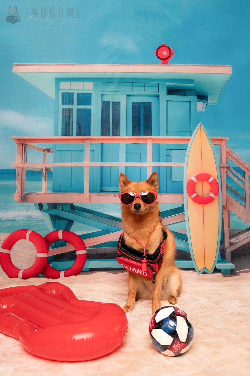 Kate Summer Lifeguard Backdrop Designed by Mini MakeBelieve