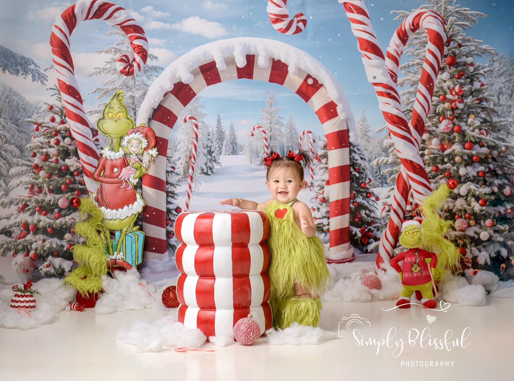 Kate Winter Christmas Forest Snow Candy Arch Backdrop Designed by Chain Photography -UK