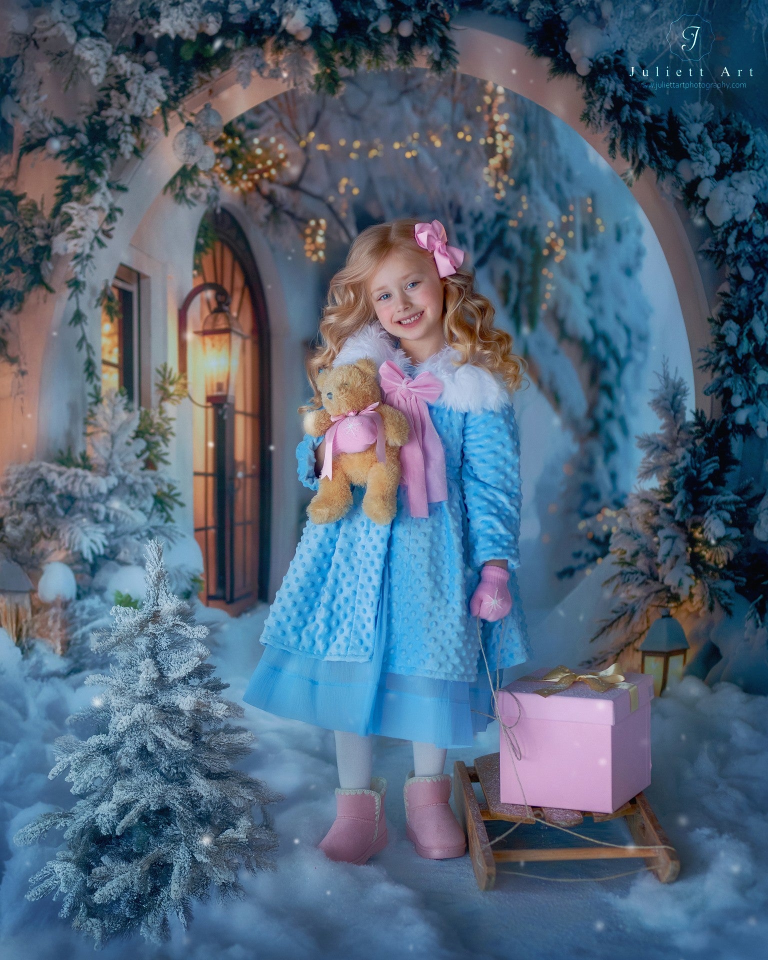Kate Winter Snowy Christmas Arch Hallway Backdrop Designed by Emetselch -UK