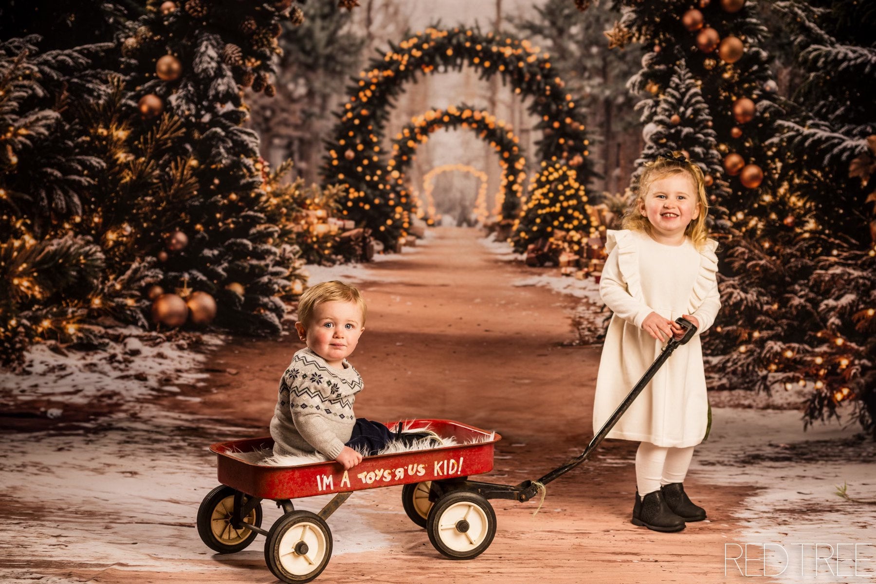 Kate Christmas Tree Archway Forest Backdrop Designed by Emetselch -UK