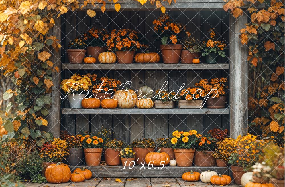 Kate Autumn Pumpkin Shelf Maple Backdrop Designed by Emetselch -UK