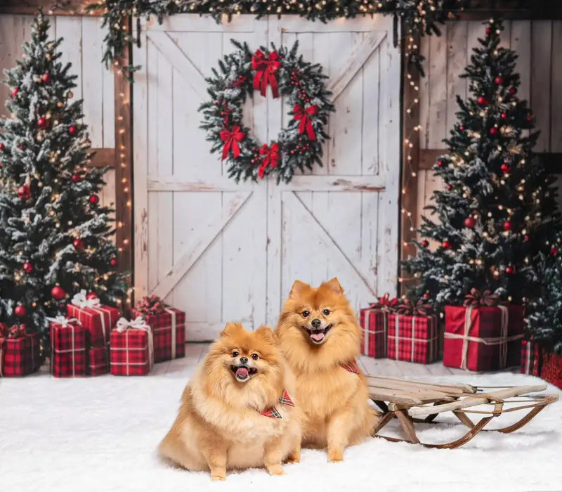 Kate Christmas Tree White Barn Door Backdrop Designed by Emetselch -UK