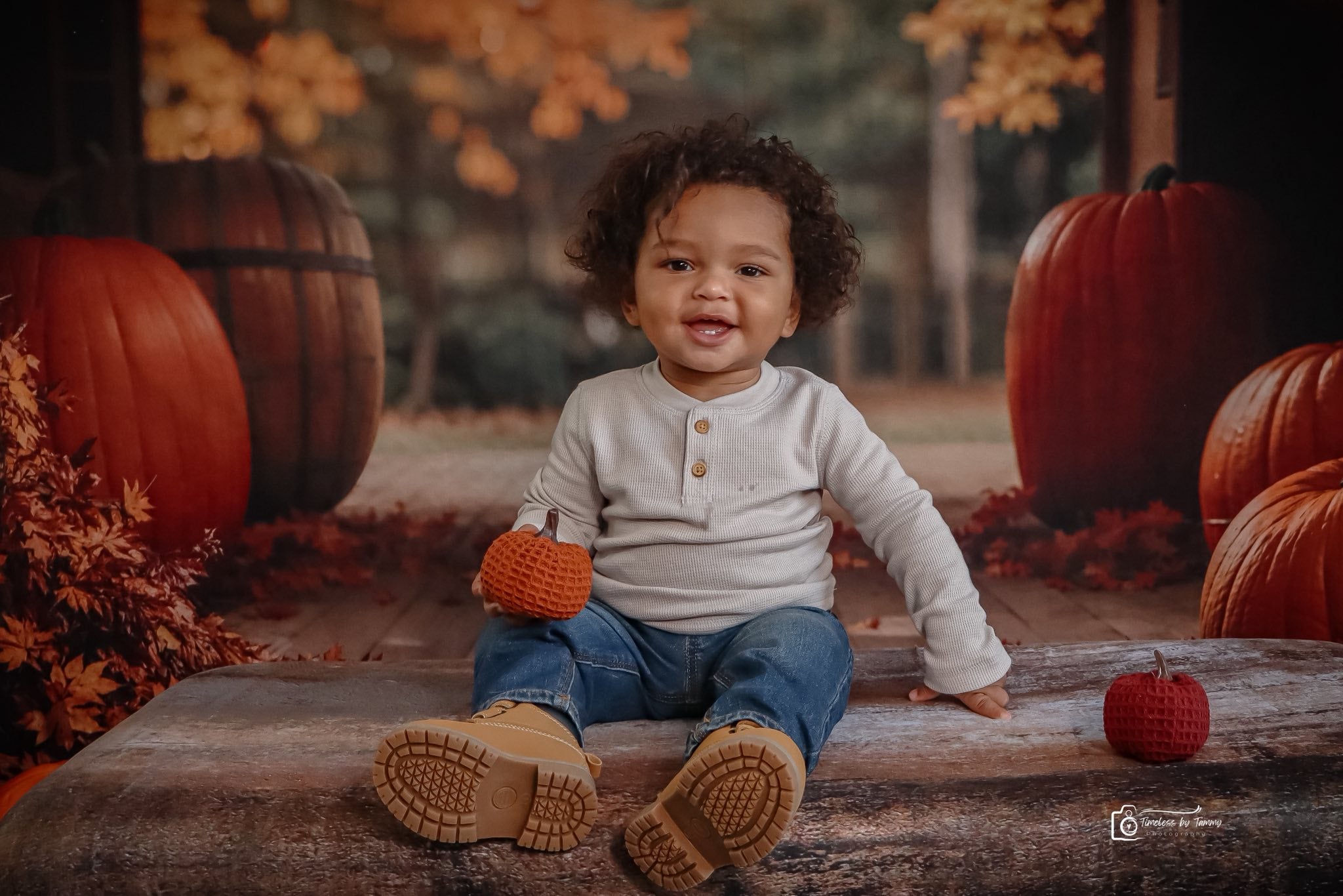 Kate Autumn Leaves Pumpkin Barn Lights Backdrop Designed by Emetselch -UK