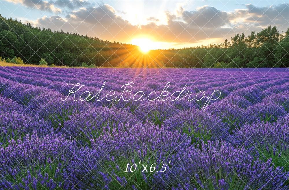 Kate Lavender Field Sunshine Backdrop Designed by Mini MakeBelieve -UK