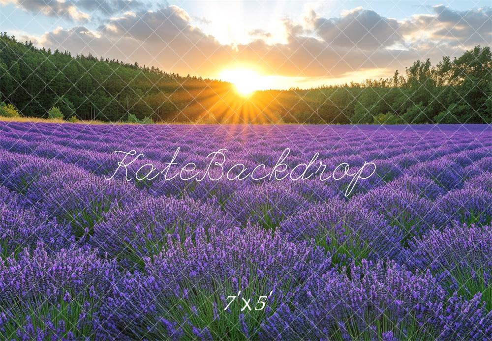 Kate Lavender Field Sunshine Backdrop Designed by Mini MakeBelieve -UK