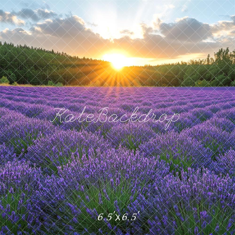 Kate Lavender Field Sunshine Backdrop Designed by Mini MakeBelieve -UK