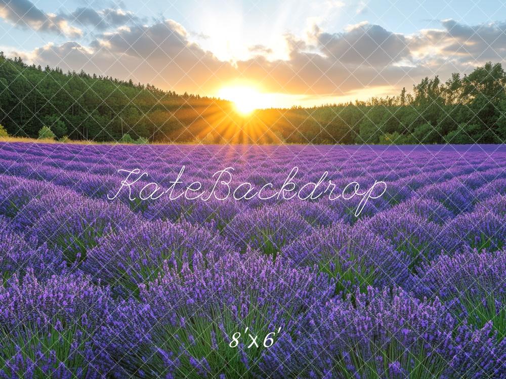 Kate Lavender Field Sunshine Backdrop Designed by Mini MakeBelieve -UK
