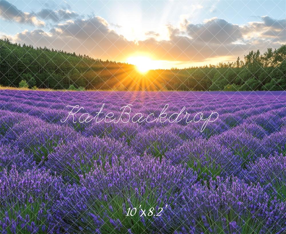Kate Lavender Field Sunshine Backdrop Designed by Mini MakeBelieve -UK